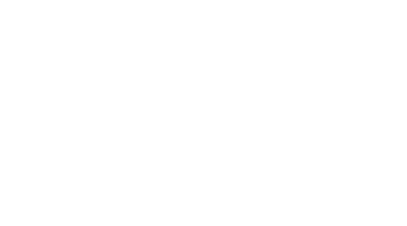 Bridge Connect Africa Initiative